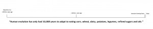 timeline from Paleolithic era to the 21st century
